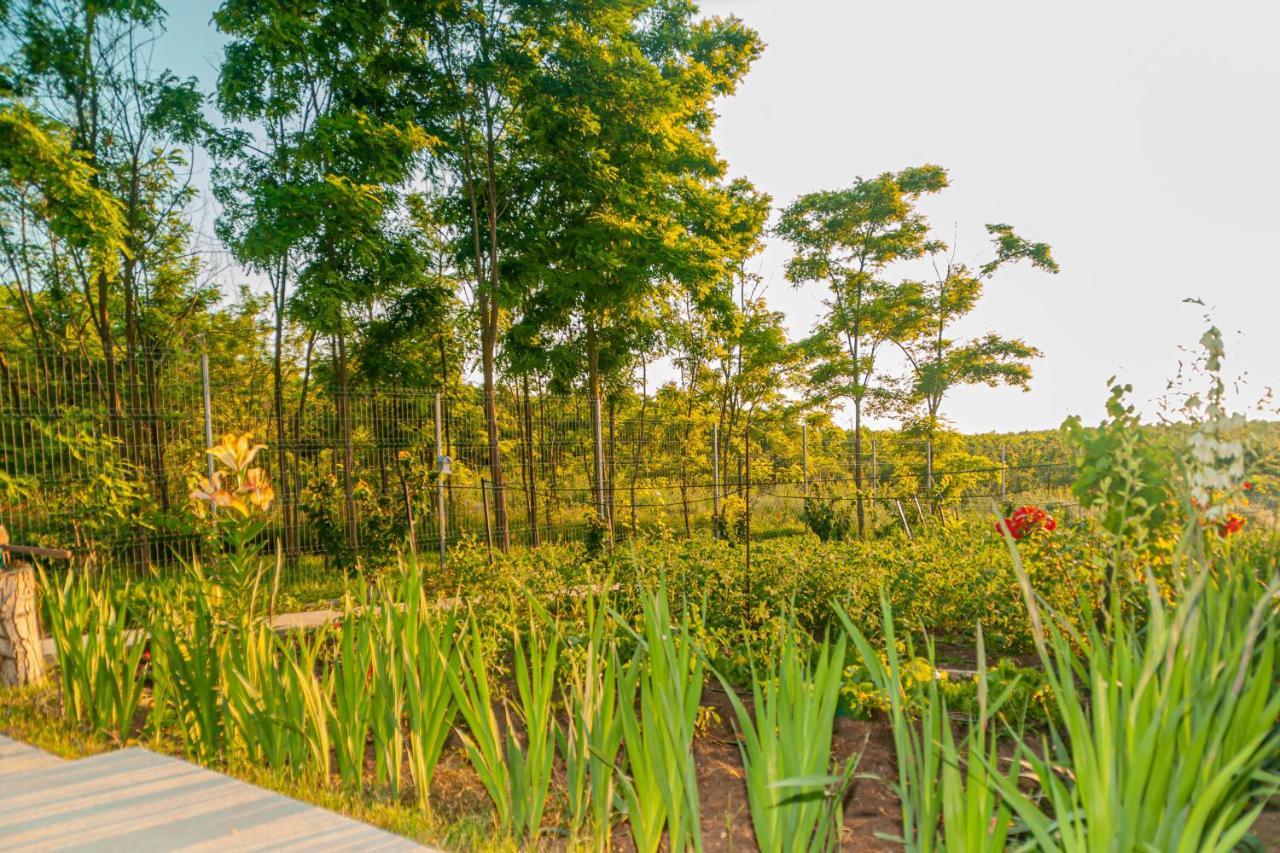 Pensiunea Agroturistica Valentino Costinesti Exterior foto